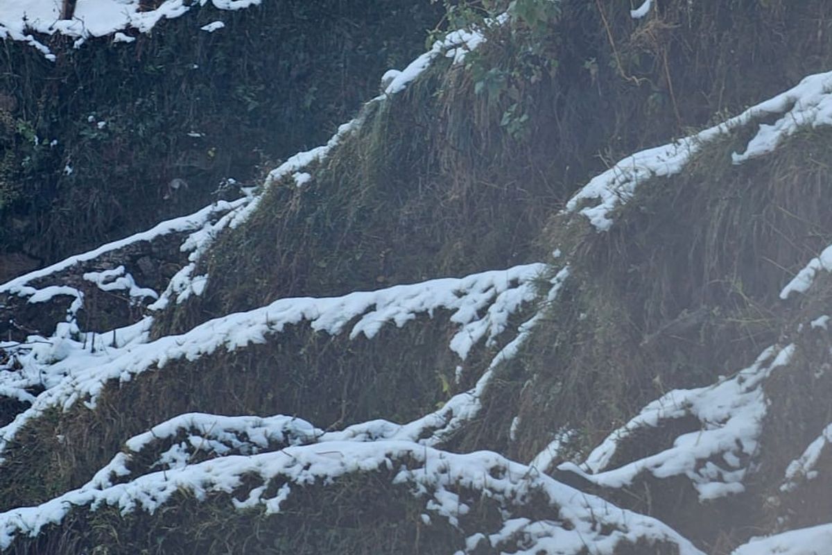 Chopta Chandrashila Trek camp exterior with mountain backdrop